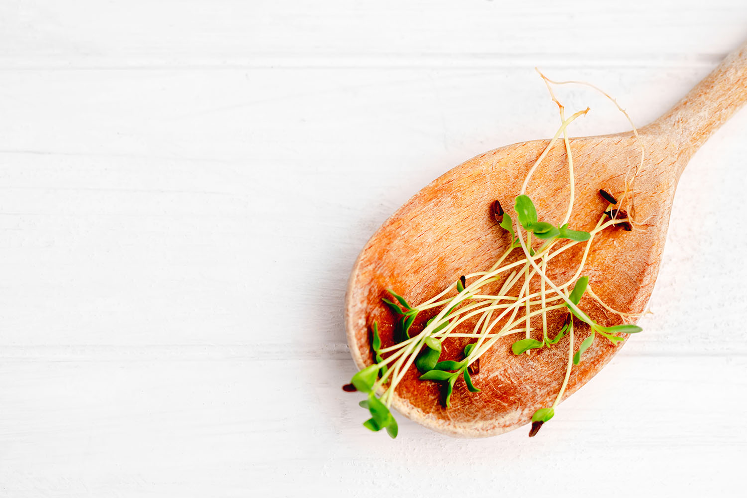 Microgreens in wooden spoon
