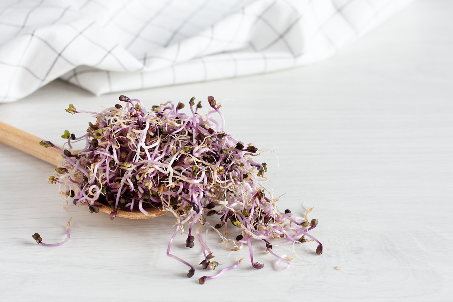 sprouts-red-cabbage-wooden-spoon-white-wooden-table-sprouted-seeds-detoxification