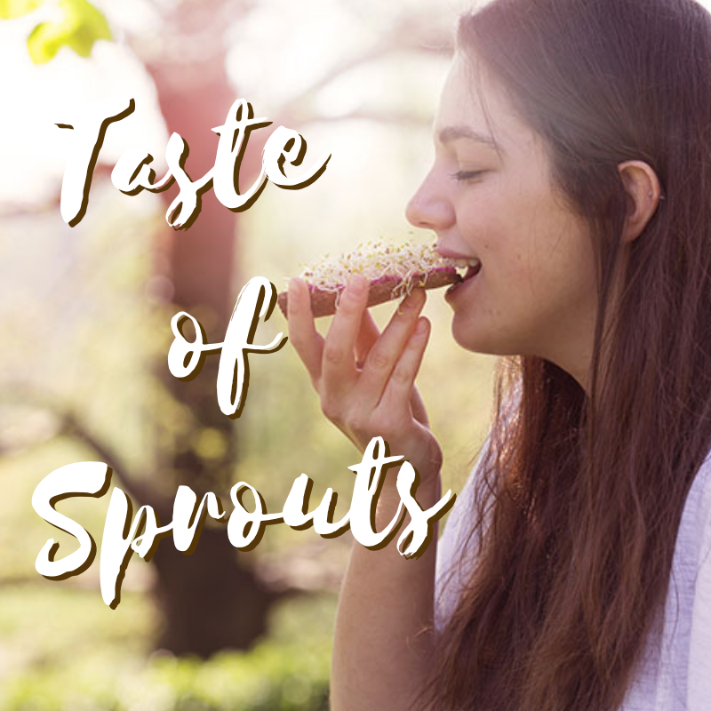 taste of sprouts