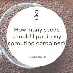 Sprouting 101 How many seeds should I put in my sprouting container