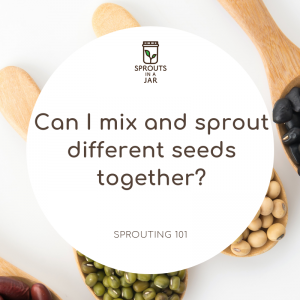 Can I mix and sprout different seeds together