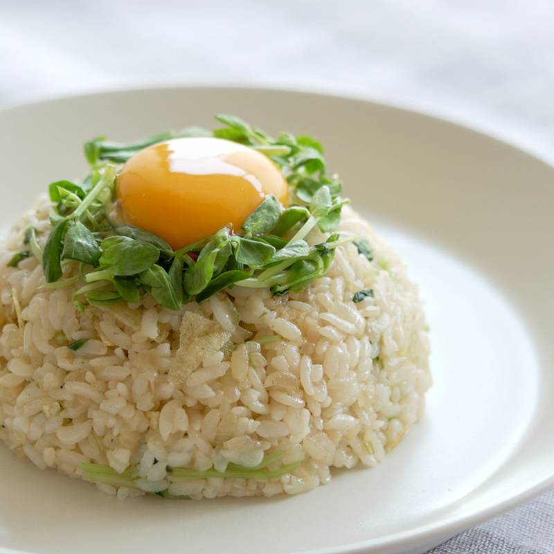 Weathering with You Fried Rice