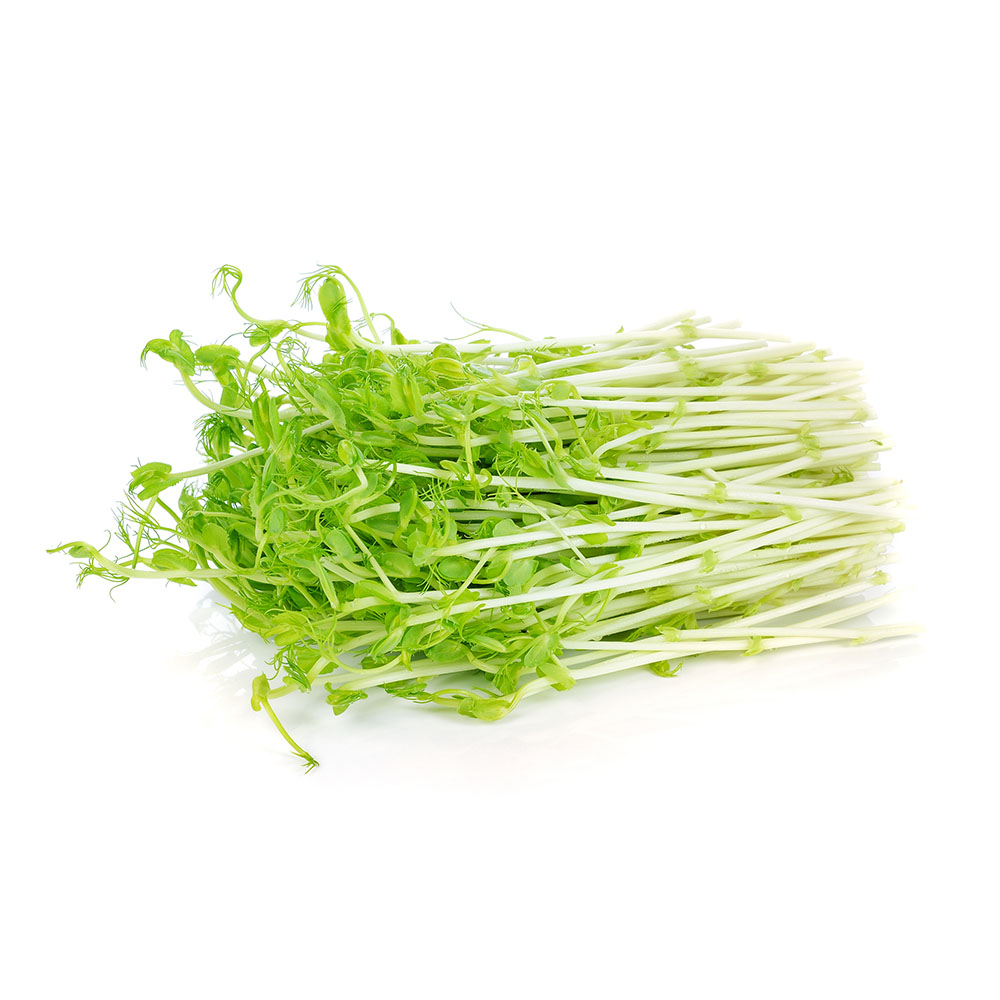 豌豆種子 Sprouts In A Jar